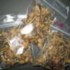 Golden Teacher Mushrooms