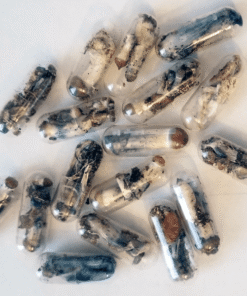 MICRODOSING MUSHROOMS